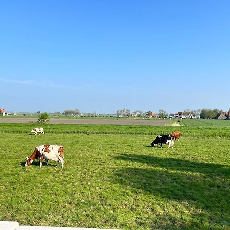 Beach Bungalow Green Villa Middelkerke Eksteriør billede