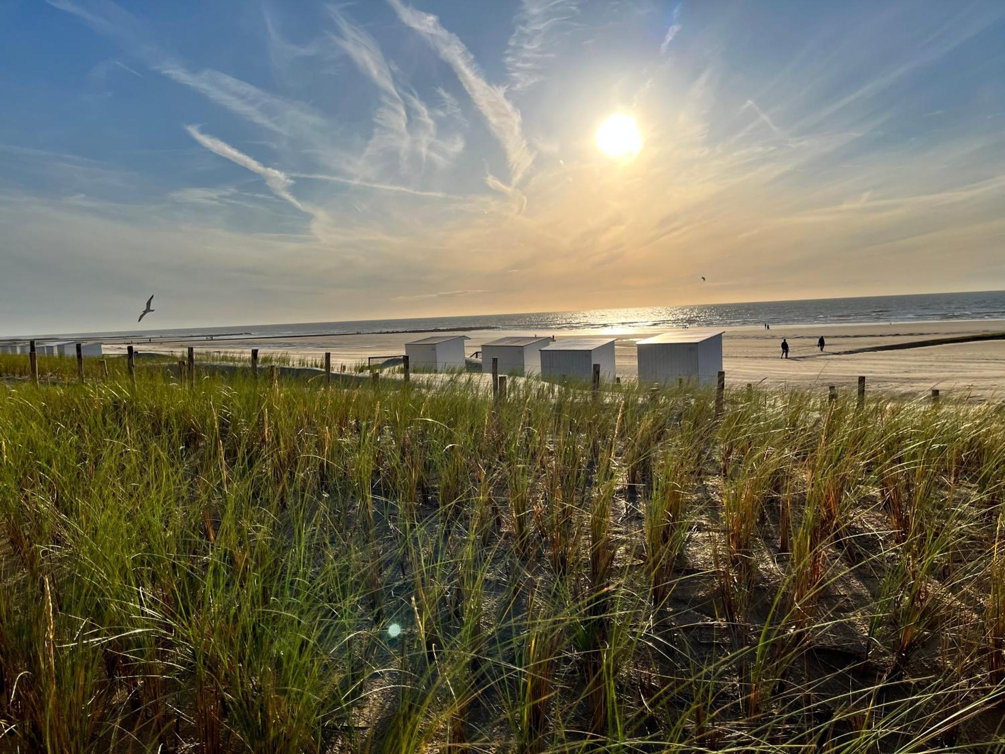 Beach Bungalow Green Villa Middelkerke Eksteriør billede